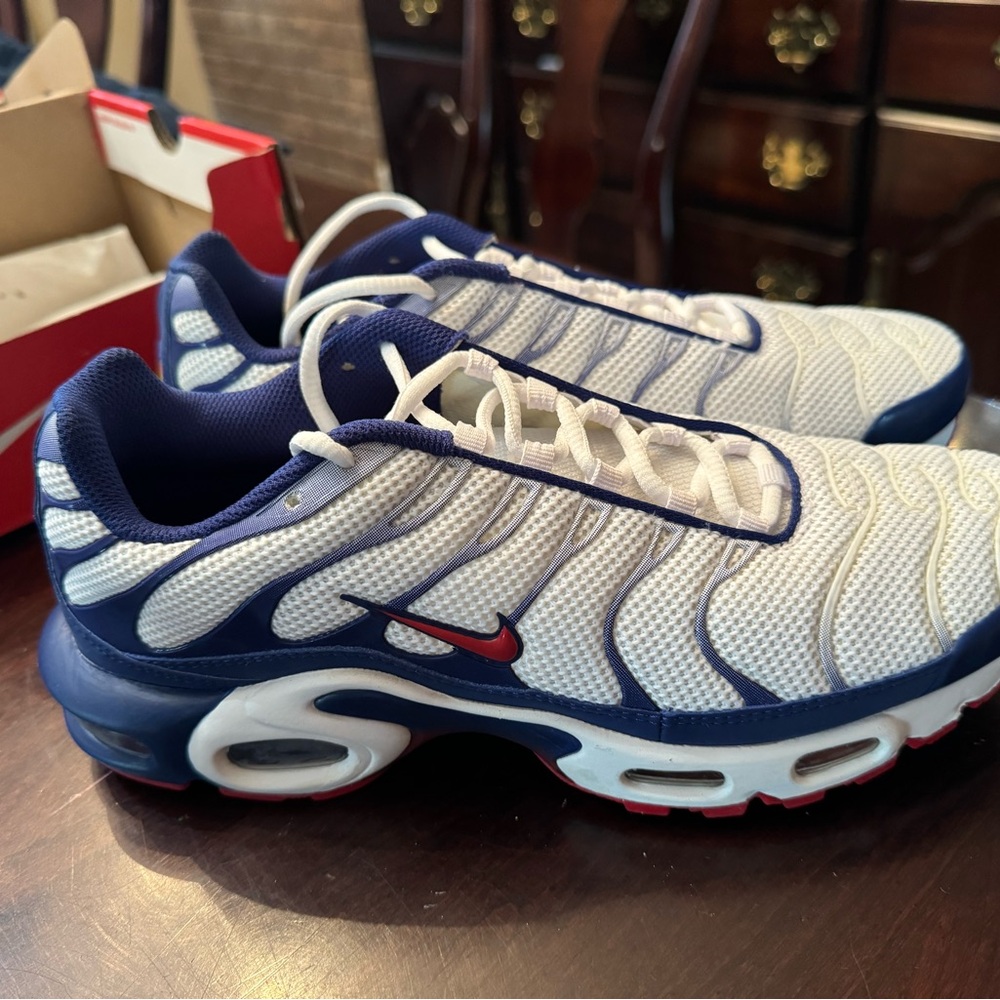 Nike Air Max Plus, size 8.5 men's
